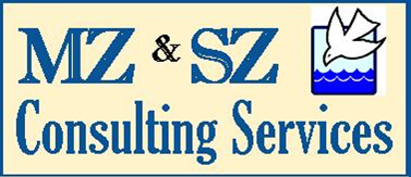 MZ & SZ CONSULTING SERVICES